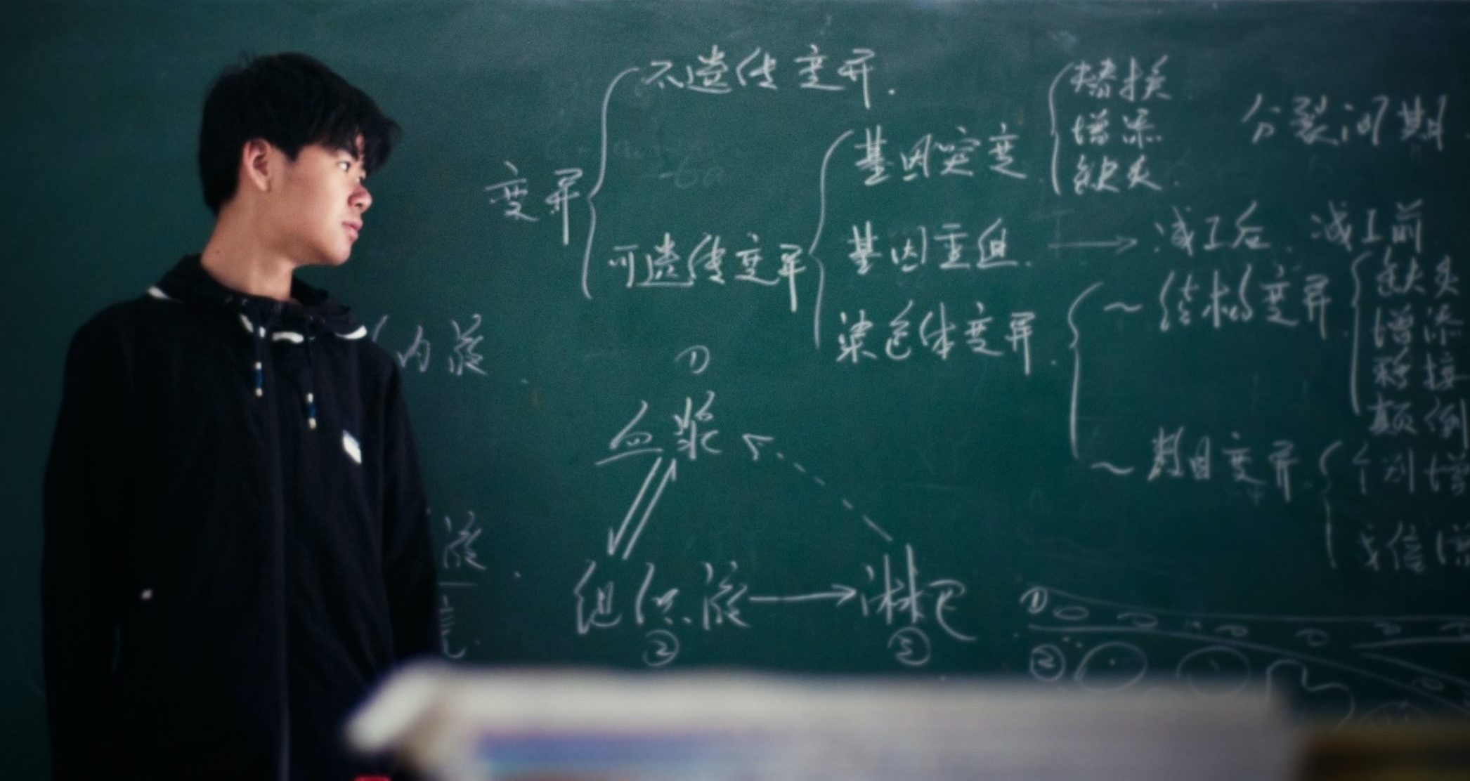 Are Chinese-English Bilingual Schools the Future of Primary Education?