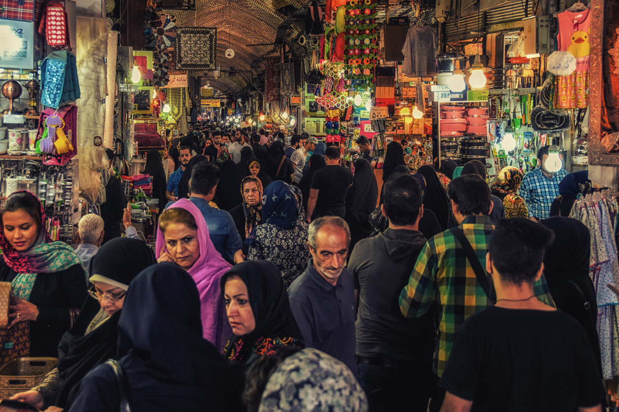 Exploring the Diversity of the Iranian Language Family: Insights and